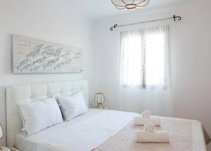 Your Mykonos X Whitelist 别墅 Mykonos Town