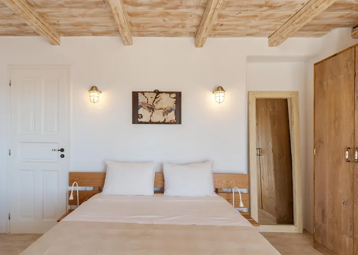 Your Mykonos X Whitelist 别墅 Mykonos Town