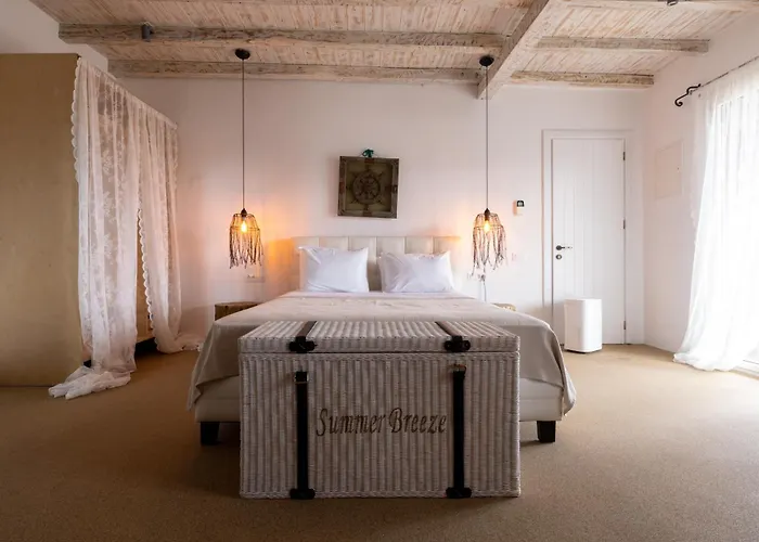 Villa Your Mykonos X Whitelist